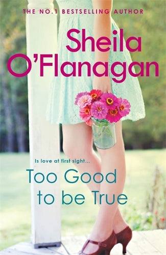 Too Good To Be True: Is it love at first sight? Or is she making a terrible mistake?