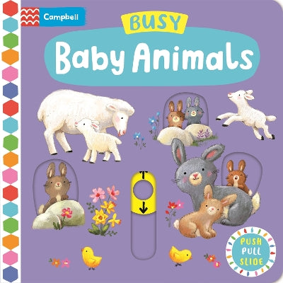 Busy Baby Animals: A Push, Pull, Slide Book