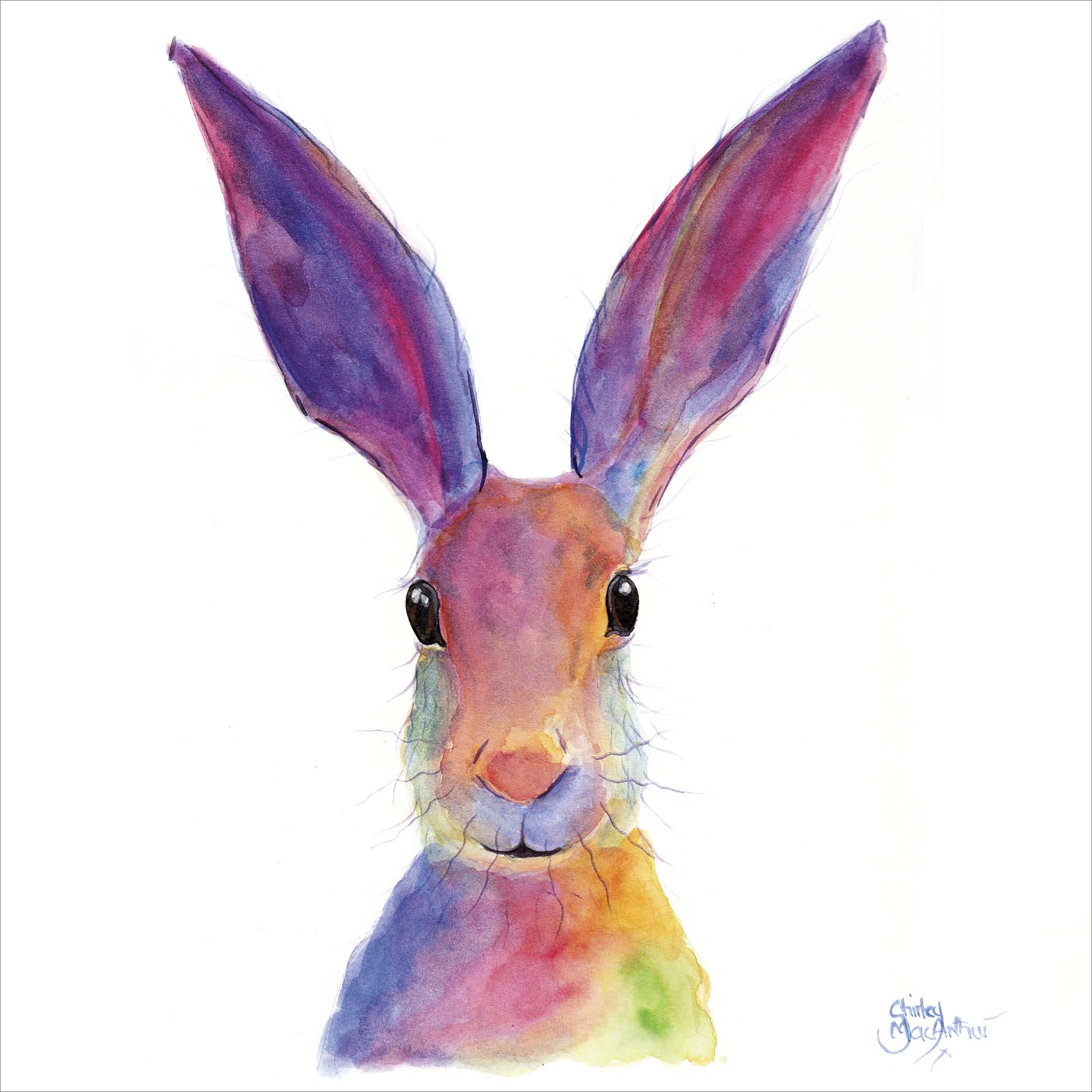 Blank Card - Rabbit