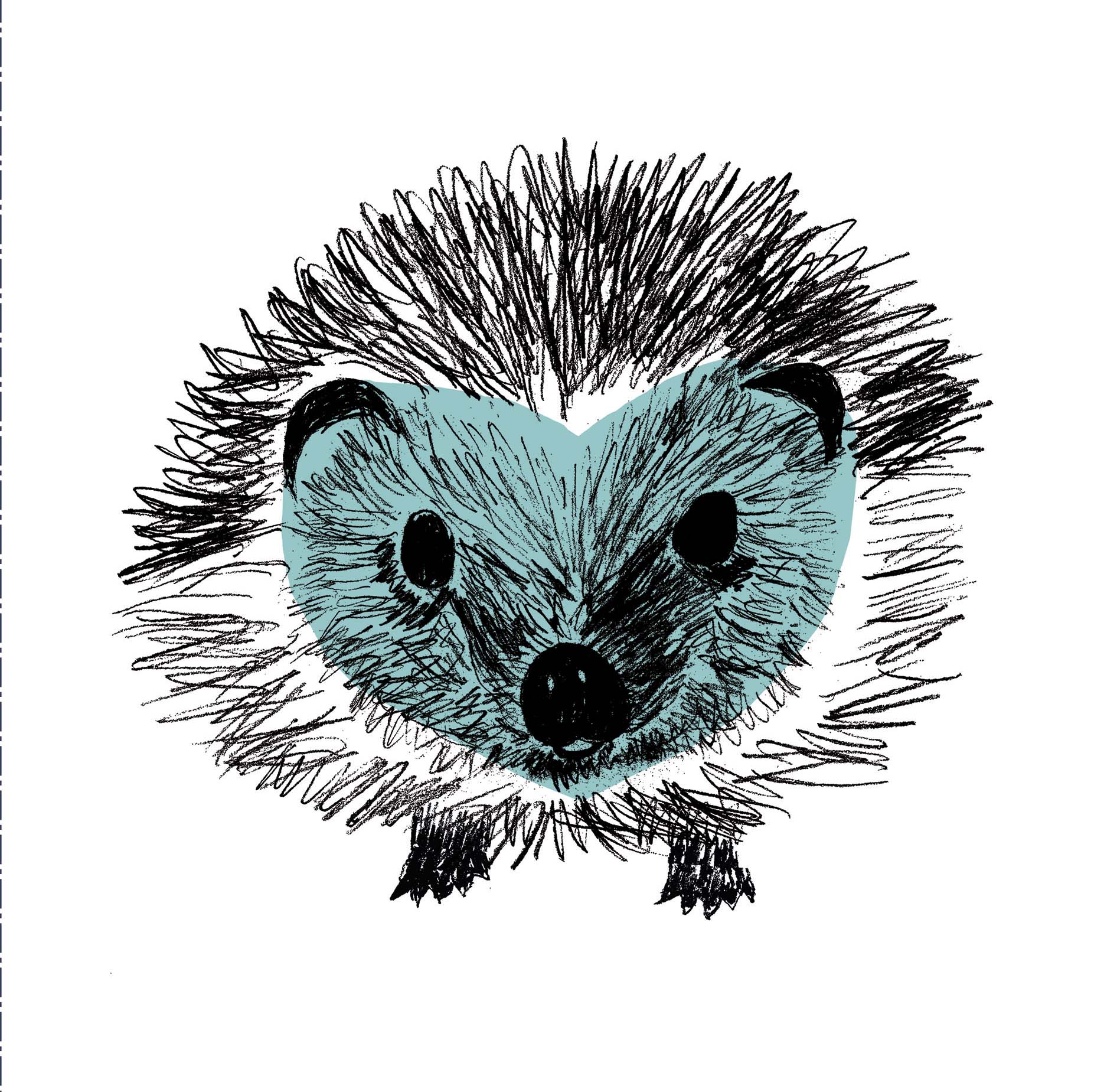 Open Blank - Camden Originals