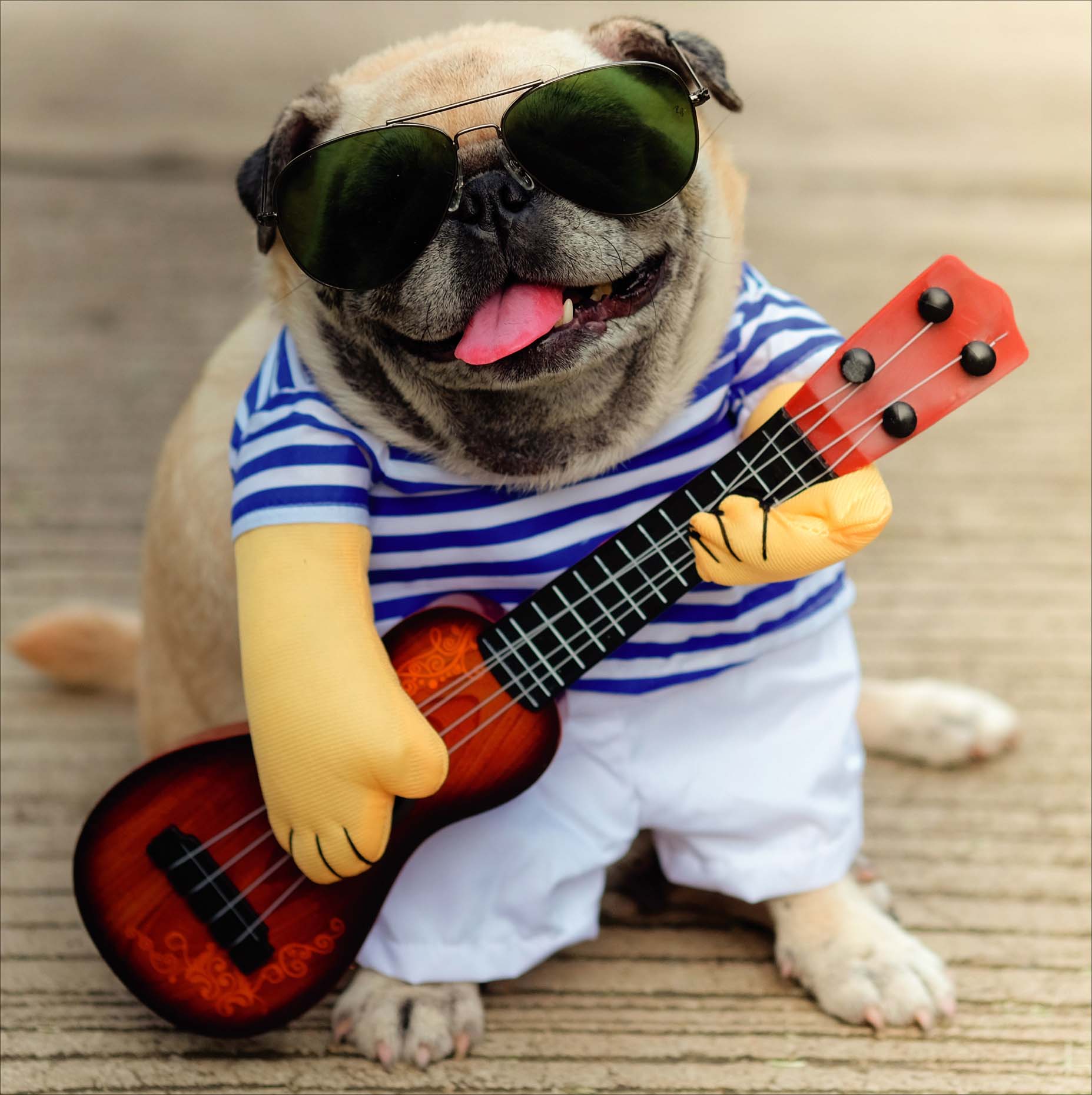 Open Blank - Camden Photographic