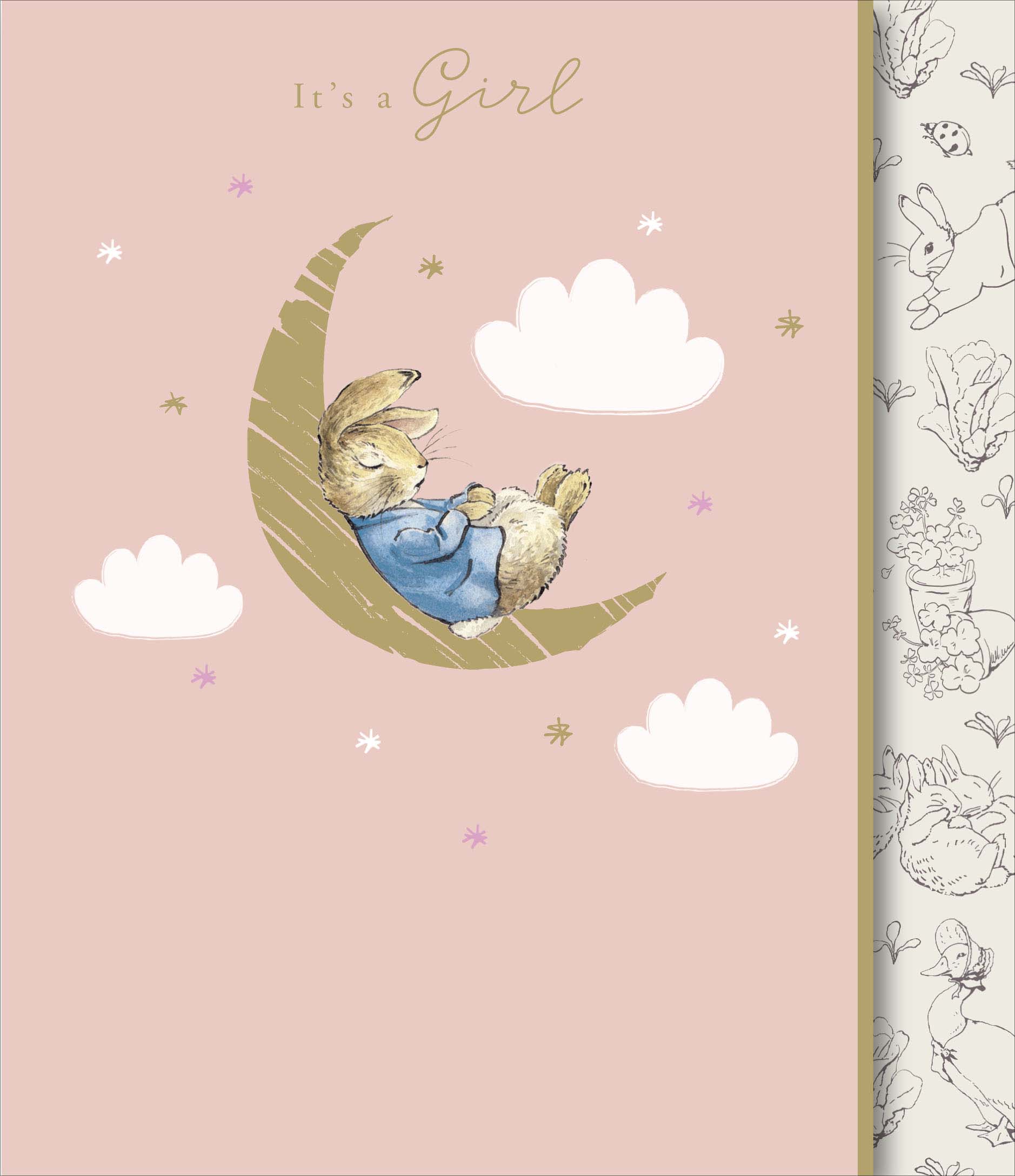 Birth Congratulations - Peter Rabbit