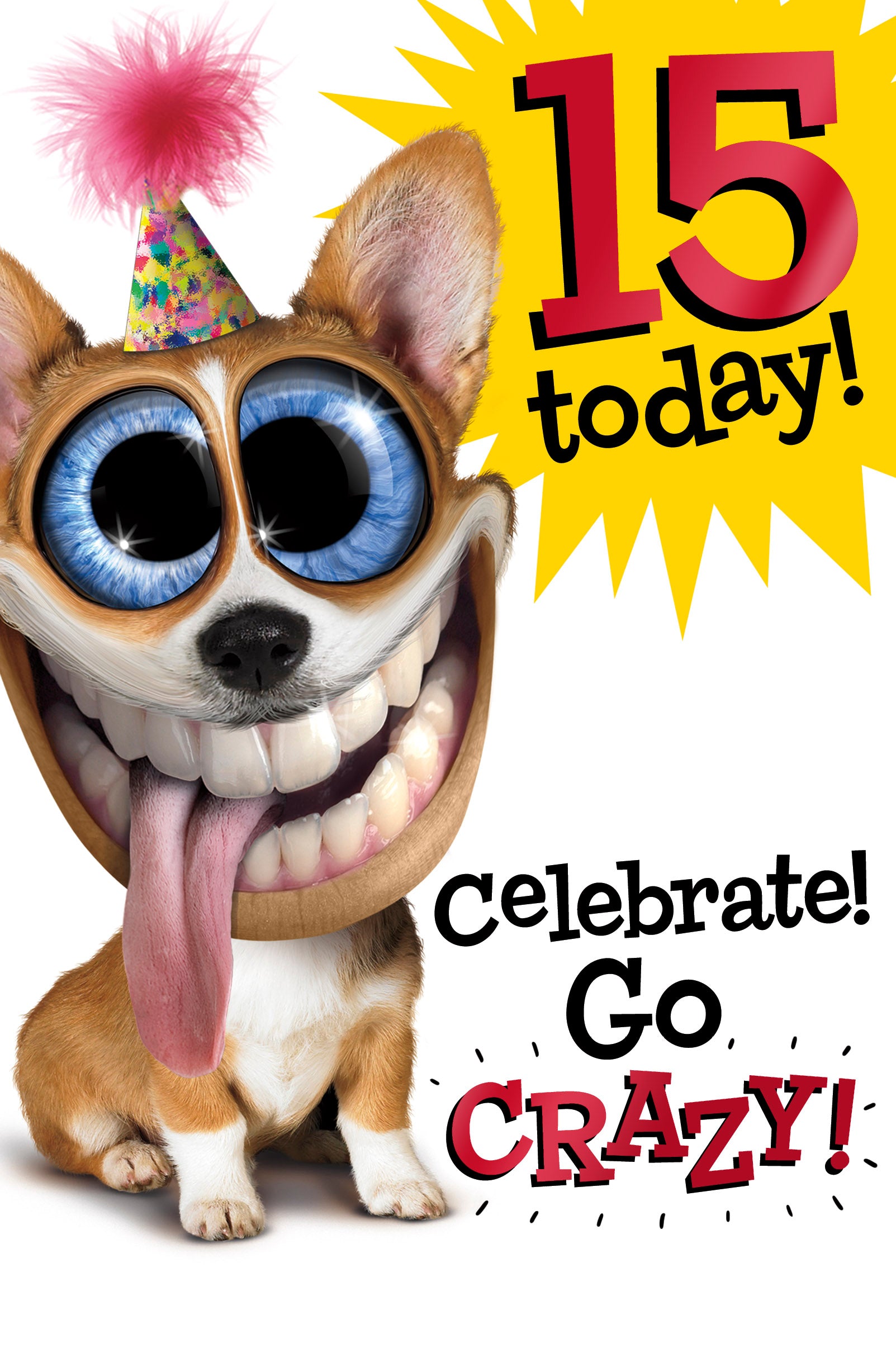 Happy 15th Birthday