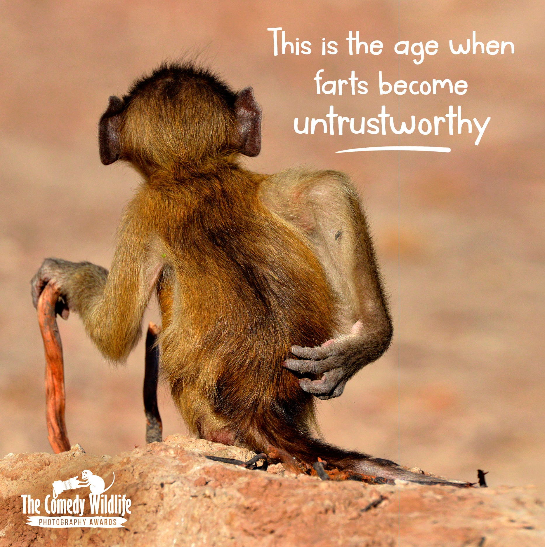 Birthday Humour - Comedy Wildlife