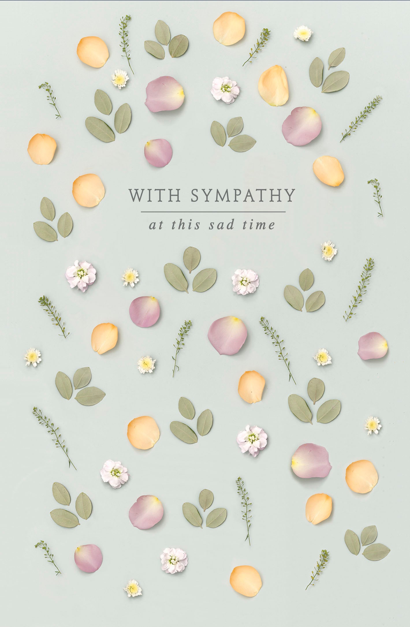 Sympathy - Gibson