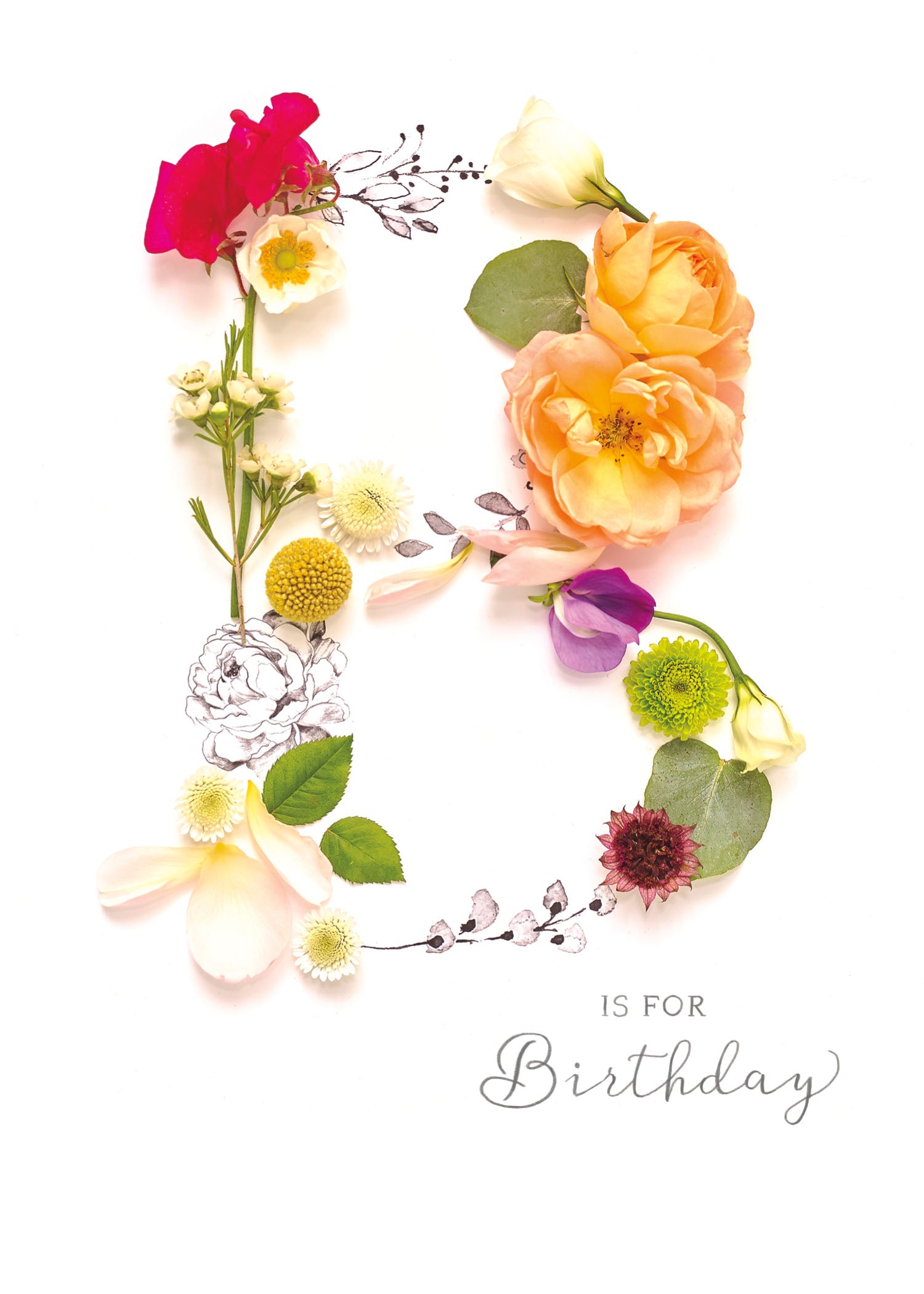 Birthday - Into The Meadow