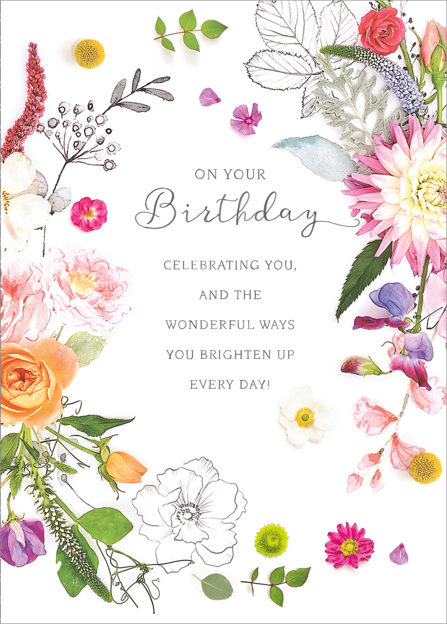 Birthday - Into The Meadow