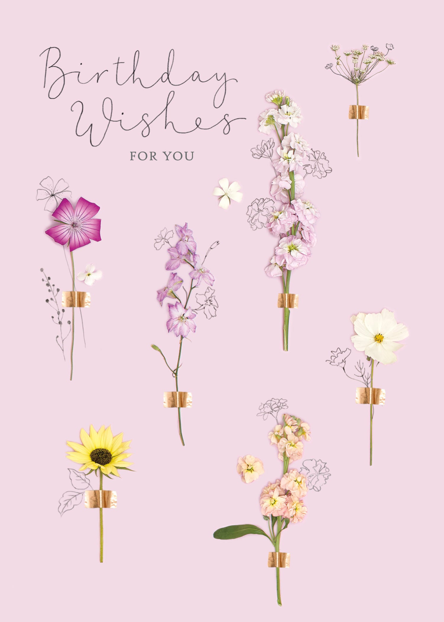 Birthday - Into The Meadow