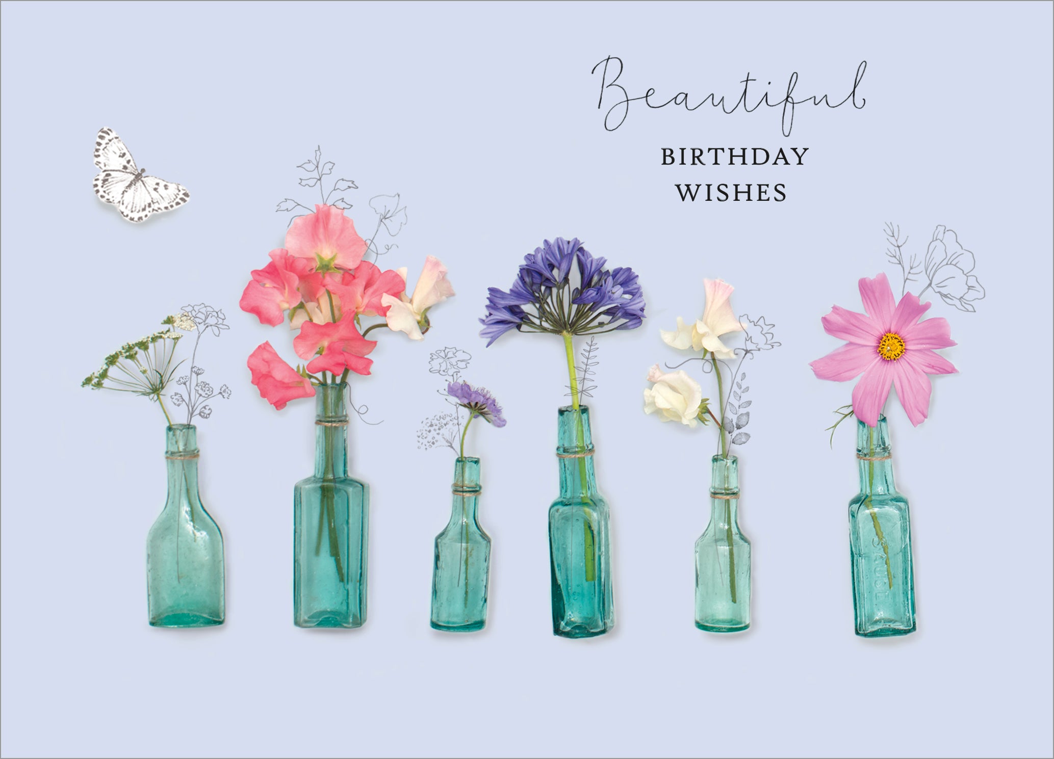 Birthday - Into The Meadow