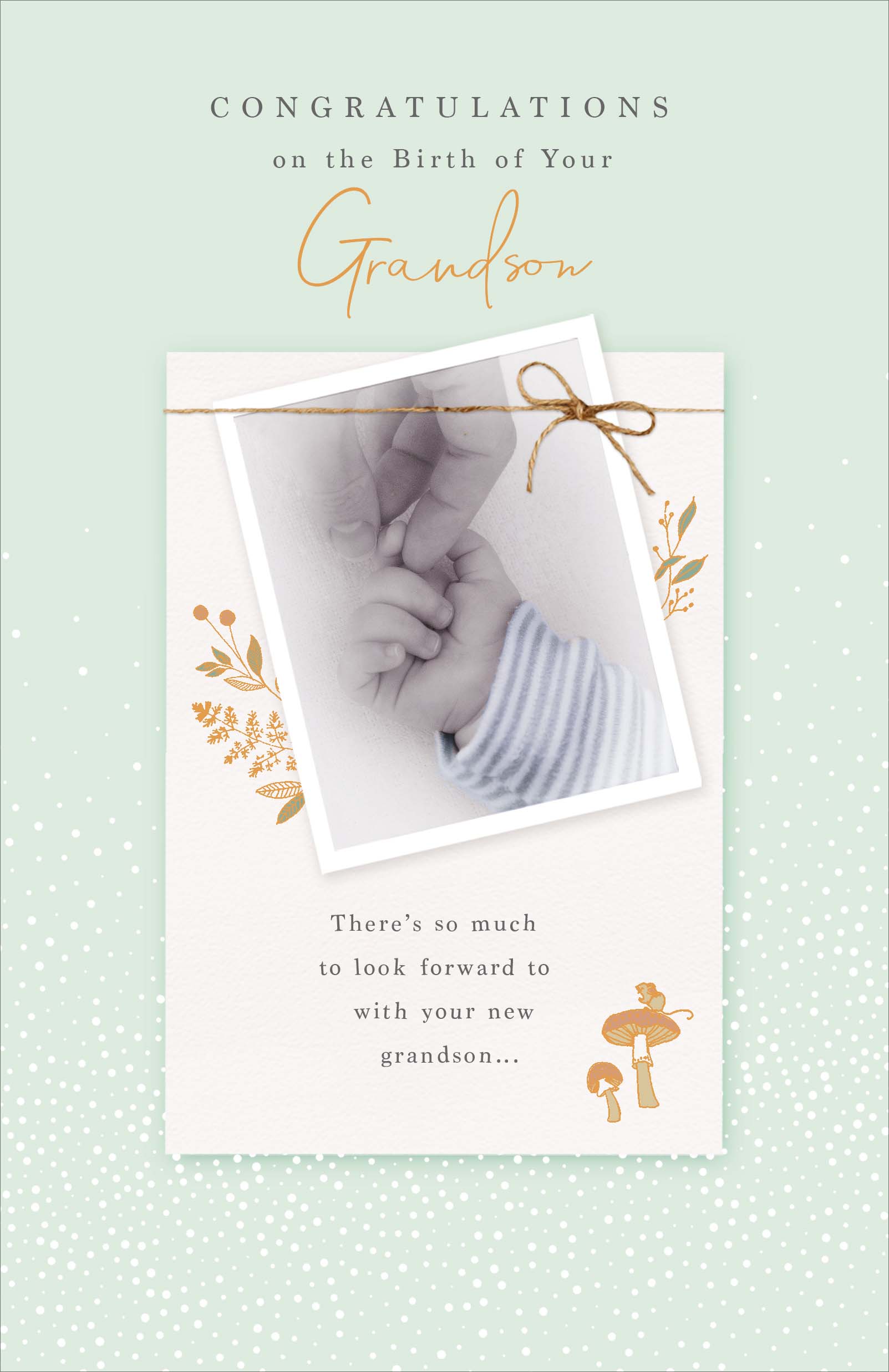 Birth Congratulations Grandson - Gibson
