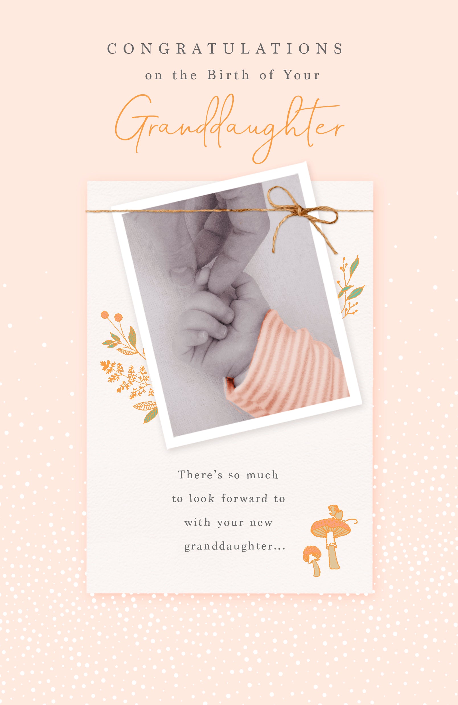 Birth Congratulations Granddaughter - Gibson