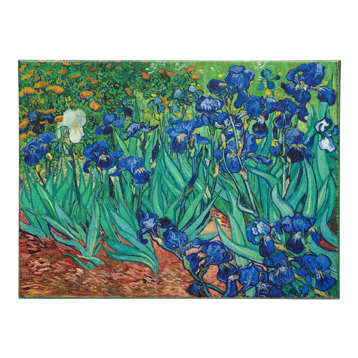 500 Piece Puzzle – Van Gogh Irises