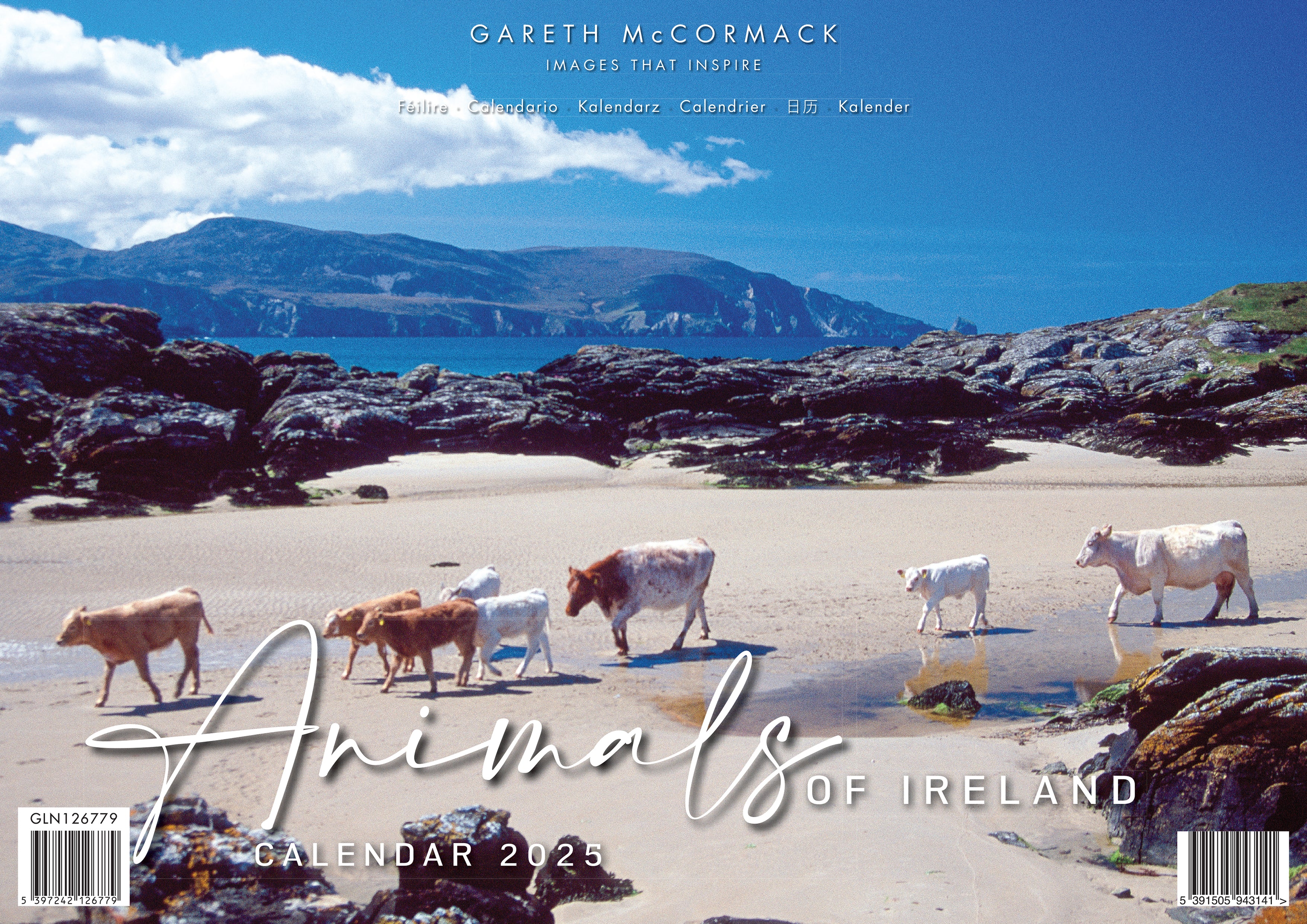 A4 Calendar - 2025 Animals of Ireland