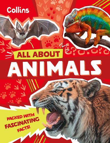 Animals: Discover fascinating facts about wildlife (All About)