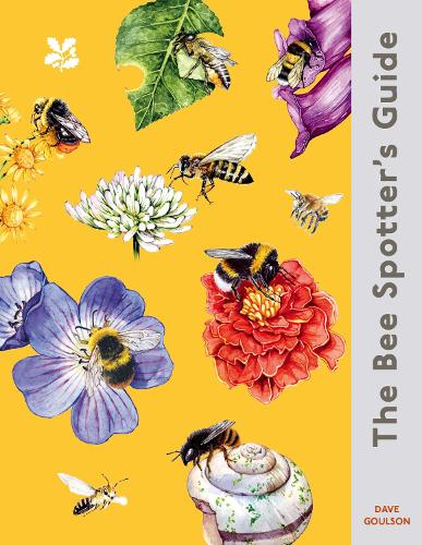 The Bee Spotter’s Guide (National Trust)