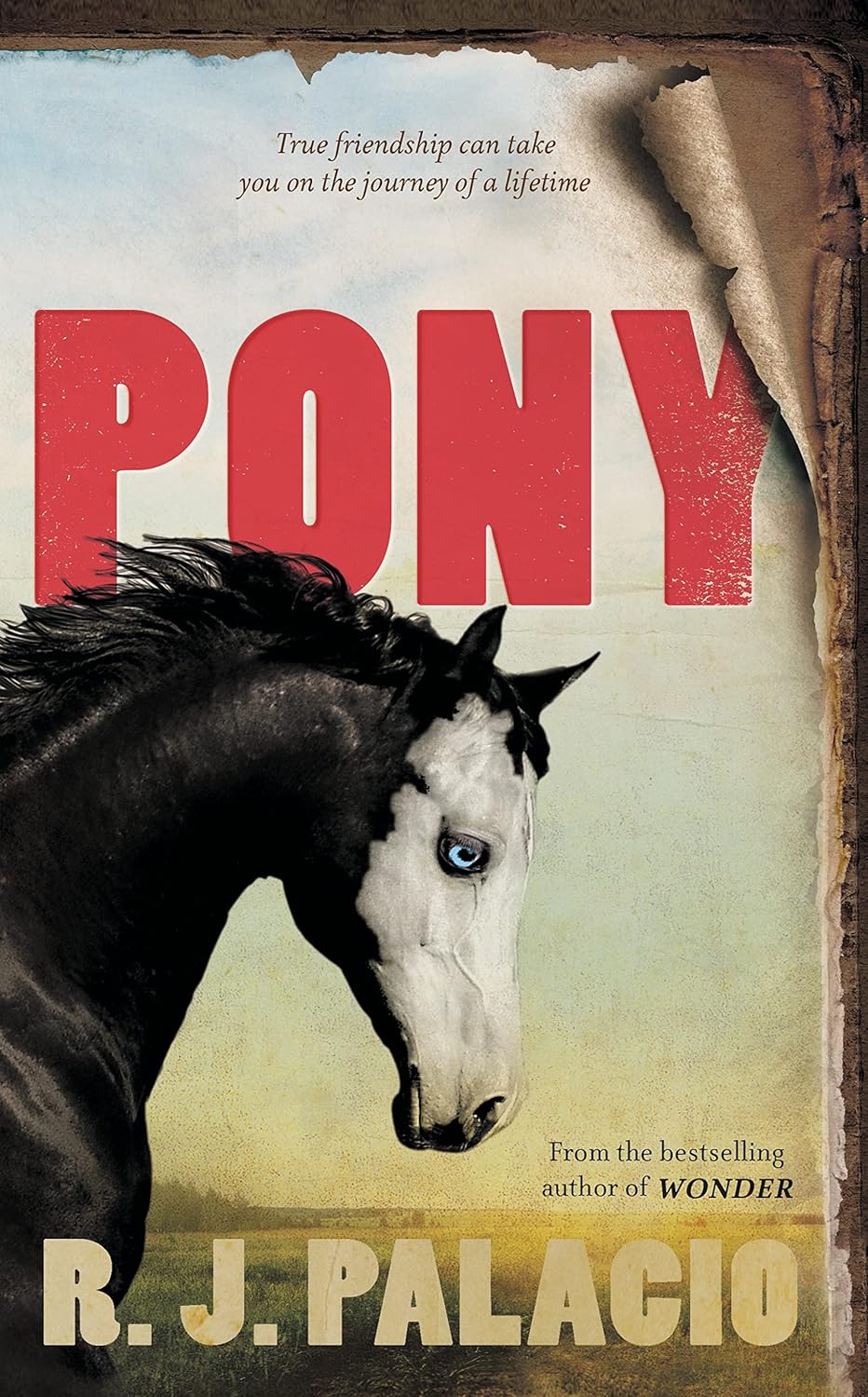 Pony: from the bestselling author of Wonder