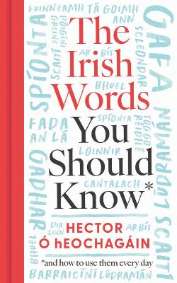 The Irish Words You Should Know: and how to use them every day - Main Image