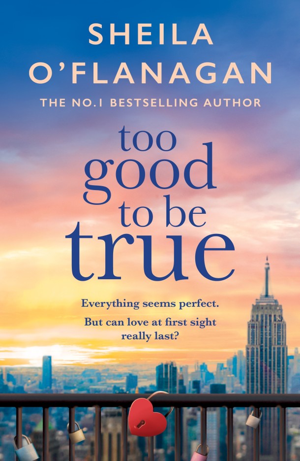 Too Good To Be True: Is it love at first sight? Or is she making a terrible mistake?
