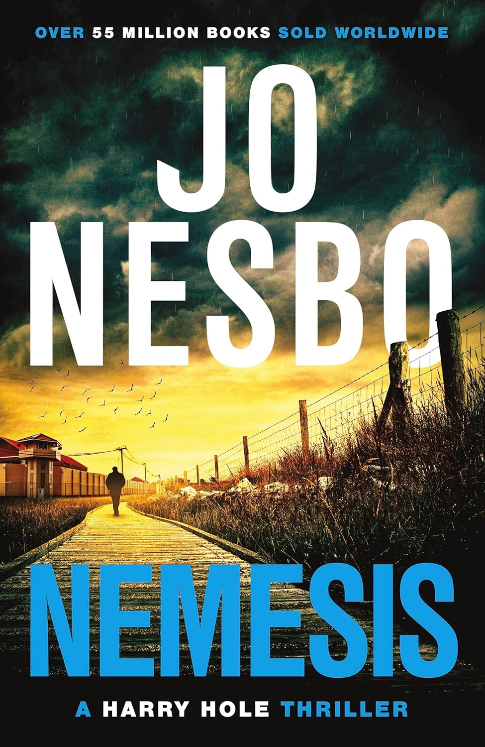 Nemesis: The page-turning fourth Harry Hole novel from the No.1 Sunday Times bestseller (Harry Hole 4)