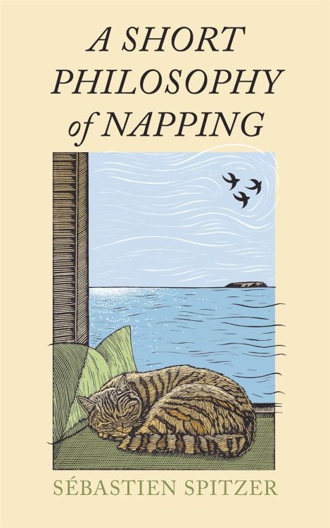 A Short Philosophy of Napping by Sébastien Spitzer