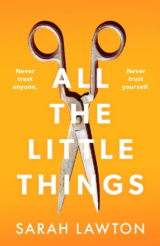 All The Little Things: A tense and gripping thriller with an unforgettable ending
