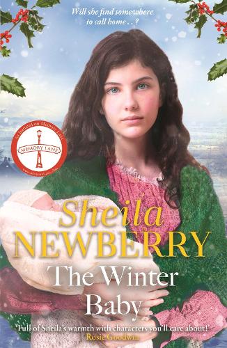 The Winter Baby: A perfect, heartwarming winter story from the Queen of Family Saga