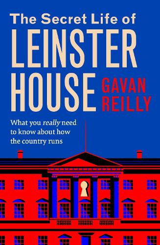 The Secret Life of Leinster House: What you really need to know about how the country is run