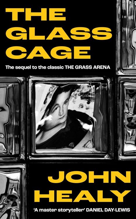 The Glass Cage by John Healy