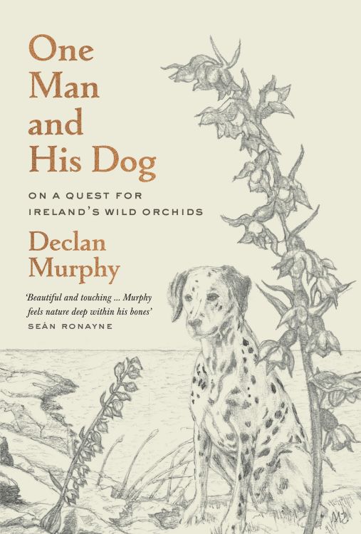 One Man and his Dog: The Hunt for the Wild Irish Orchid
