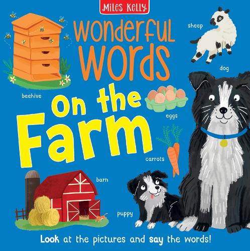 On the Farm (Wonderful Words)